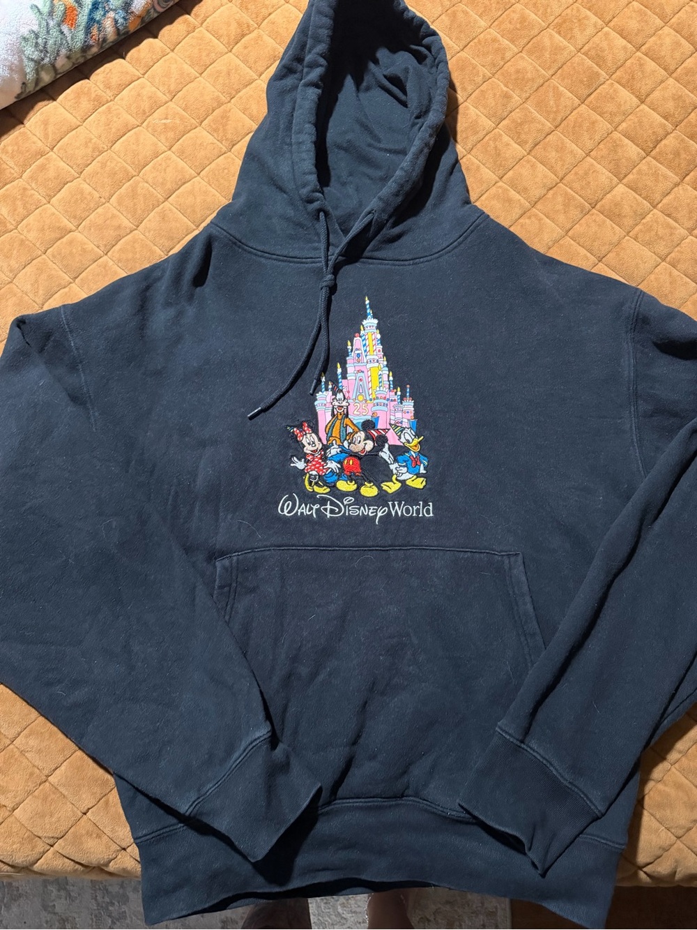 Disney world hoodie